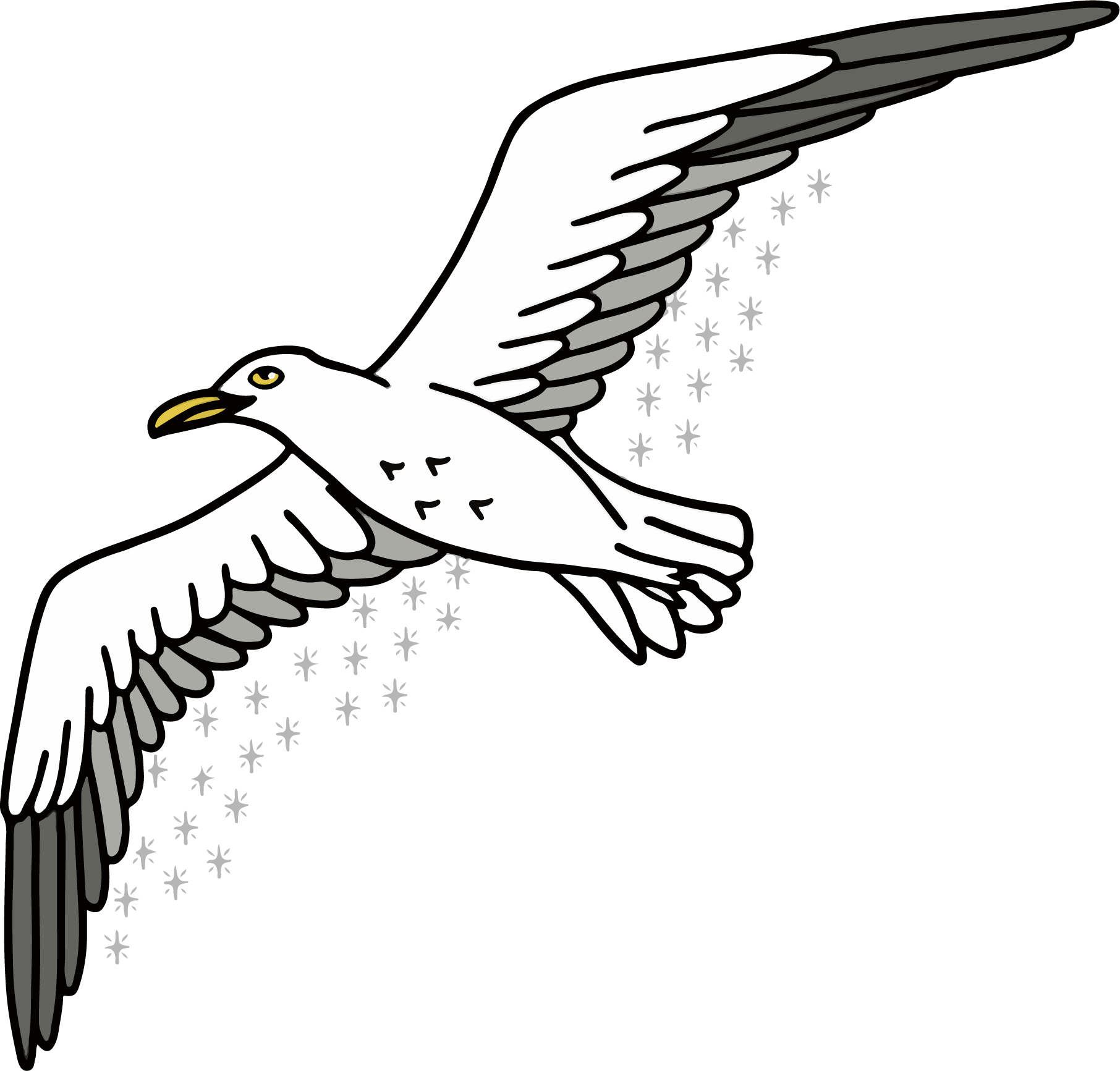 image oiseau