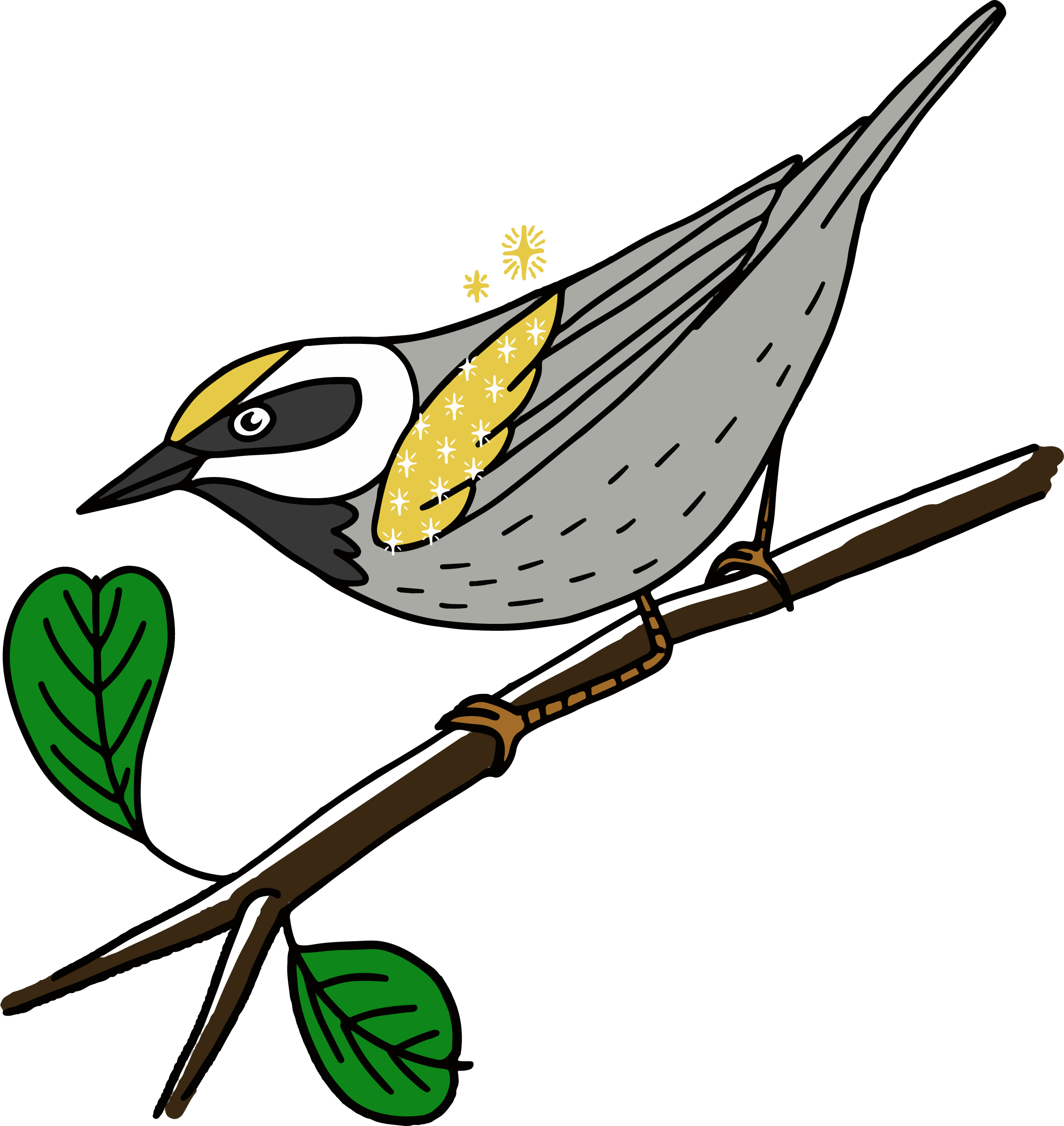image oiseau